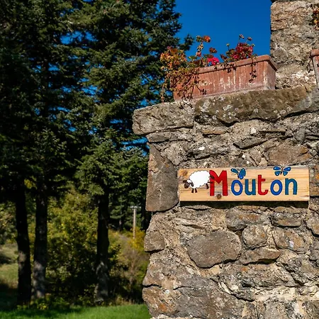 Mouton La Chaudiere